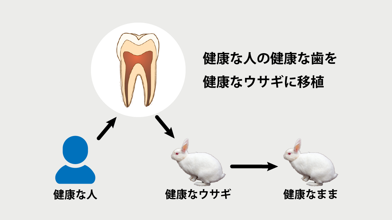 偶発症・難症例への対応　感染根管治療 歯内療法 成功への道 偶発症・難症例への対応 - 株式会社 ヒョーロン